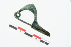 Foto von Bronzekahnfibel (NHMW-PRAE-025221)